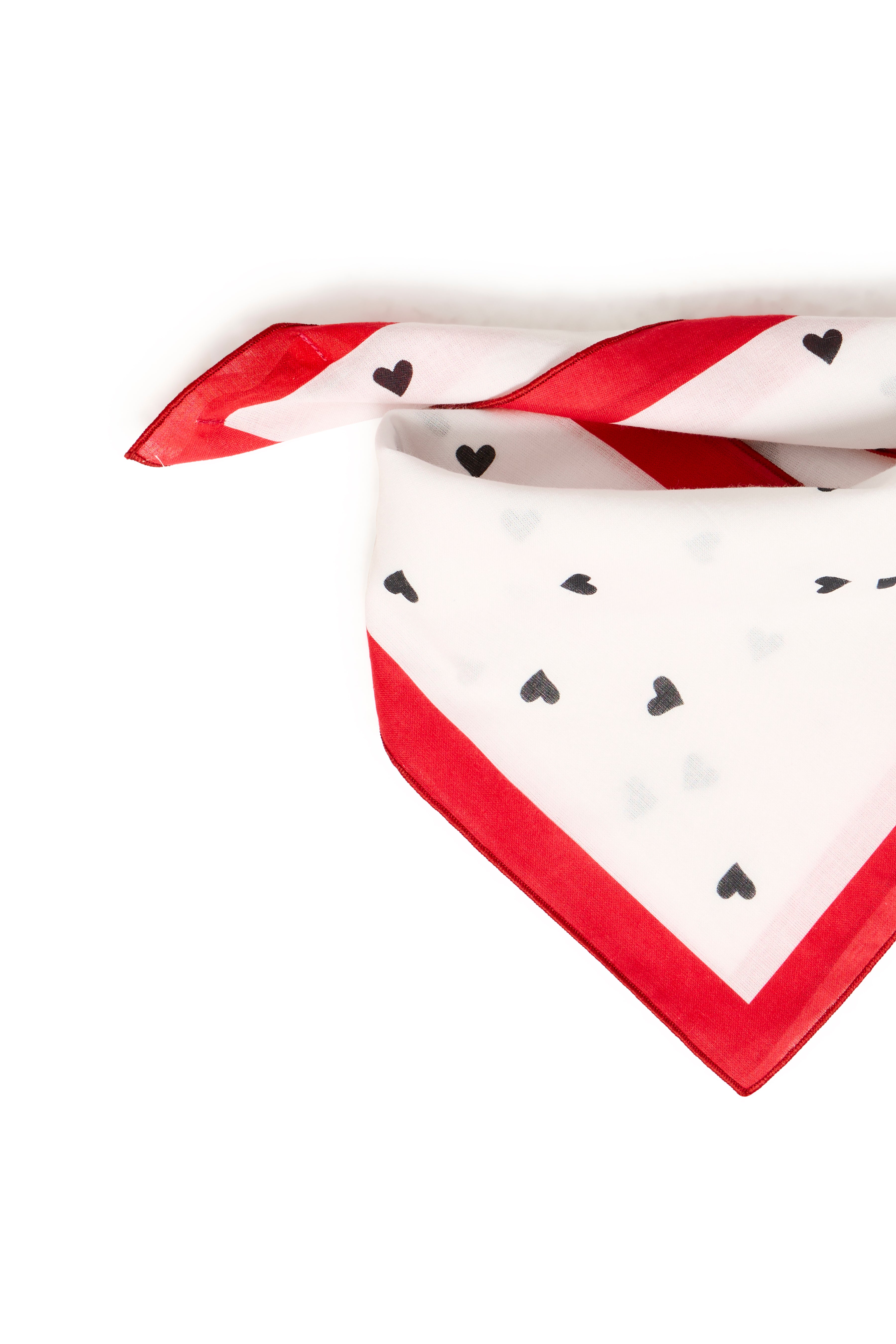 FANA Neck scarf|ICHI