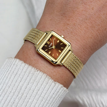 Gracieuse Mini Watch Brown Mesh|Cluse